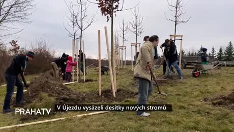 Zprávy