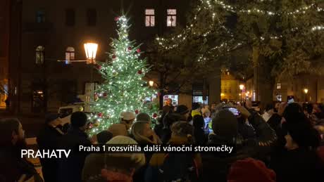 Zprávy