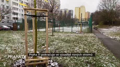 Zprávy
