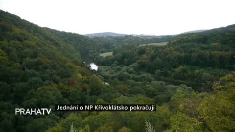 Zprávy