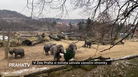 Zprávy