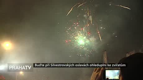 Zprávy