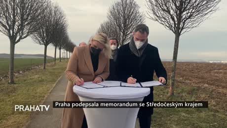 Zprávy