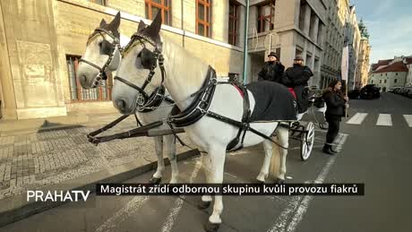 Zprávy