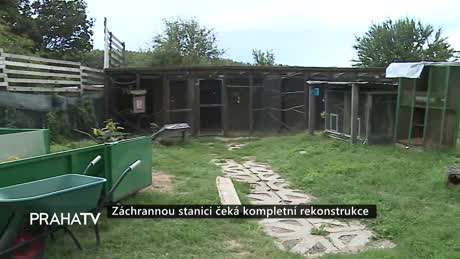 Zprávy