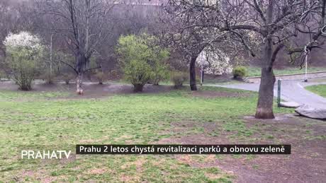 Zprávy