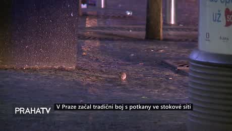Zprávy