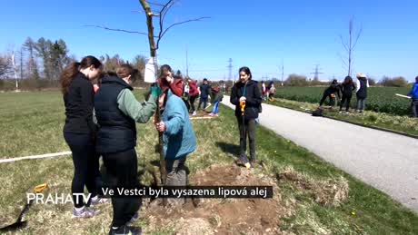 Zprávy
