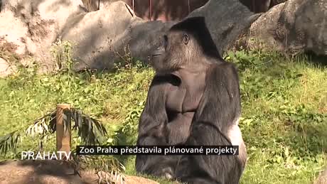 Zprávy