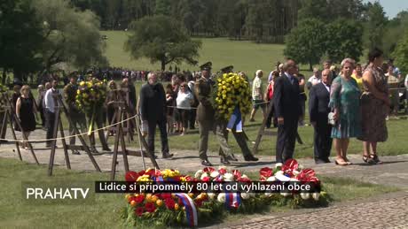 Zprávy
