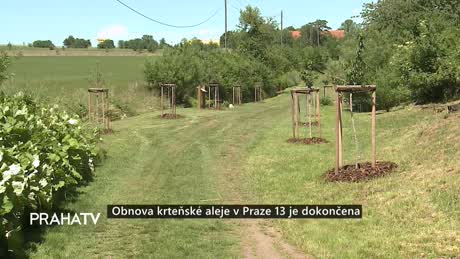 Zprávy