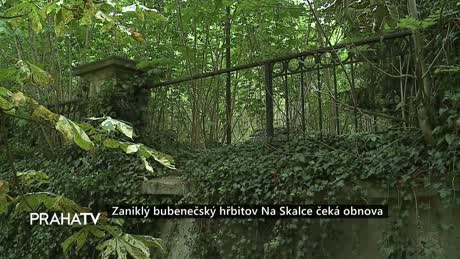Zprávy