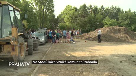Zprávy