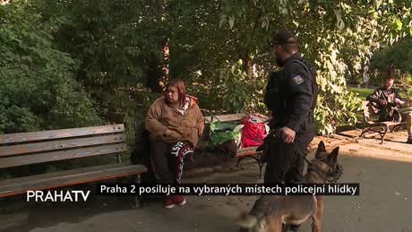 Zprávy