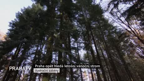 Zprávy