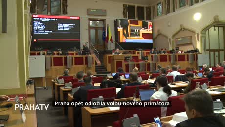 Zprávy