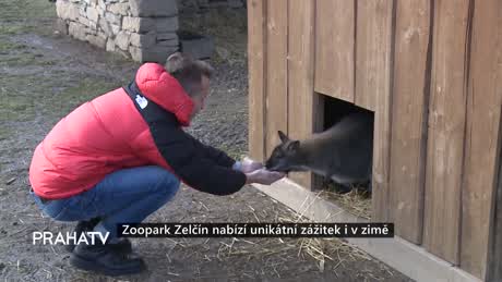 Zprávy