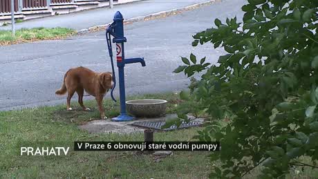 Zprávy