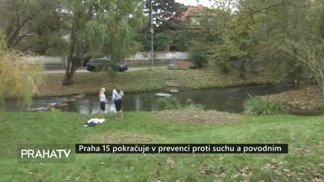 Zprávy