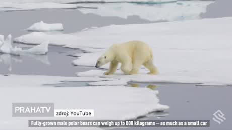 Zprávy